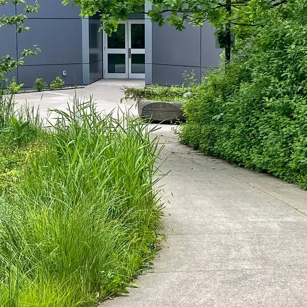 Travaux de terrassement à Saint-Cast-le-Guildo